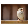 Bird Sparrow - Edible cake topper