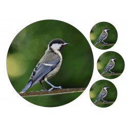 Bird Tit - Edible cake topper