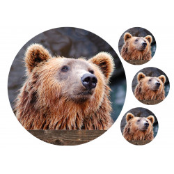 Brown Bear Face - Edible cake topper