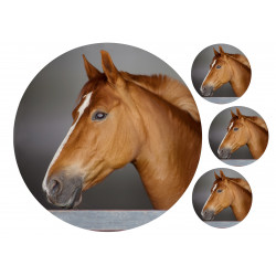 Brown Horse Closeup - Edible cake topper