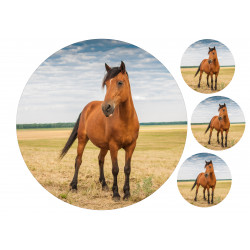 Brown Horse In Field - Edible cake topper