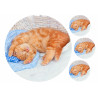 Cat Ginger Kitten Sleeping - Edible cake topper