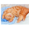 Cat Ginger Kitten Sleeping - Edible cake topper