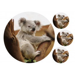 Koala - Edible cake topper