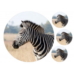 Zebra - Edible cake topper