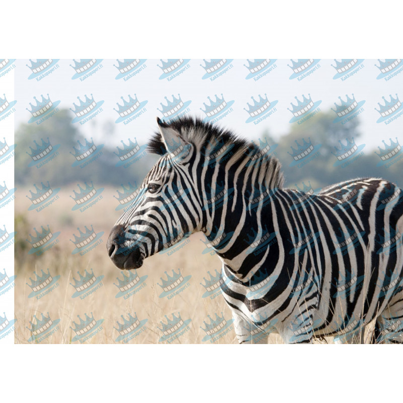 Zebra - Edible cake topper