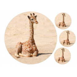 Giraffe - Edible cake topper