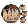 Meerkats - Edible cake topper