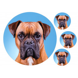 Dog Boxer - Edible cake topper