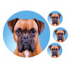 Dog Boxer - Edible cake topper