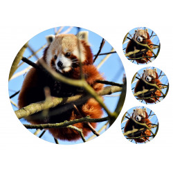 Red Panda - Edible cake topper