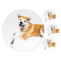 Dog Akita Inu - Edible cake topper