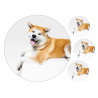 Dog Akita Inu - Edible cake topper