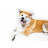 Dog Akita Inu - Edible cake topper