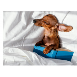 Dog With Book - Edible cake topper