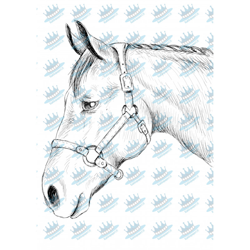 Horse Drawing - Edible cake topper