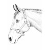 Horse Drawing - Edible cake topper