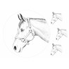 Horse Drawing - Edible cake topper