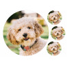 Dog Toy Poodle - Edible cake topper