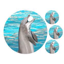 Dolphin Balling - Edible cake topper