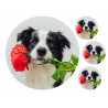 Dog Border Collie - Edible cake topper