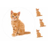 Ginger Cat Posing - Edible cake topper