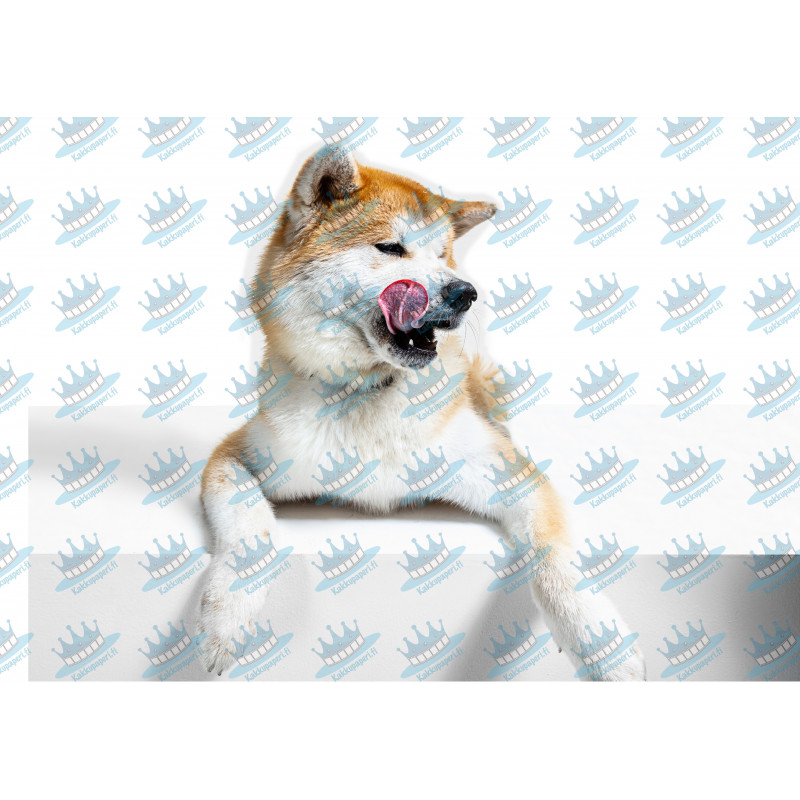 Dog Akita Inu Mlem - Edible cake topper