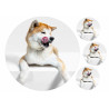 Dog Akita Inu Mlem - Edible cake topper