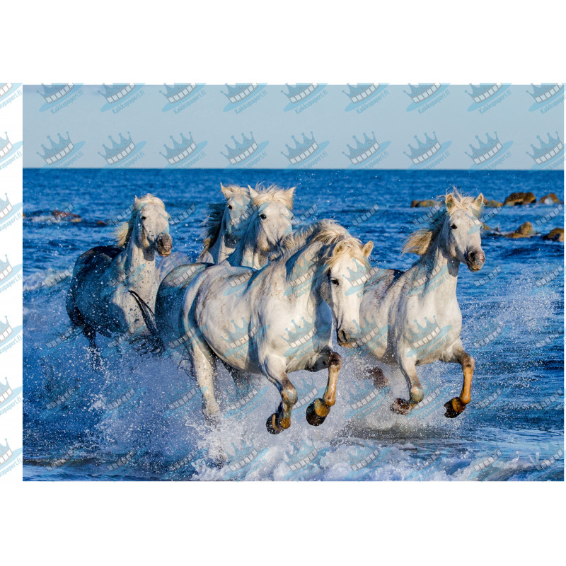 Horses Wild at Sea - Edible cake topper