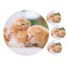 Cats Ginger Kittens - Edible cake topper