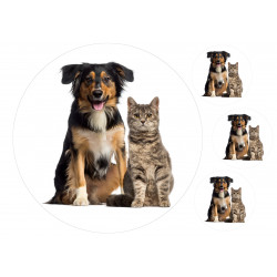 Pets Dog and Cat Posing - Edible cake topper