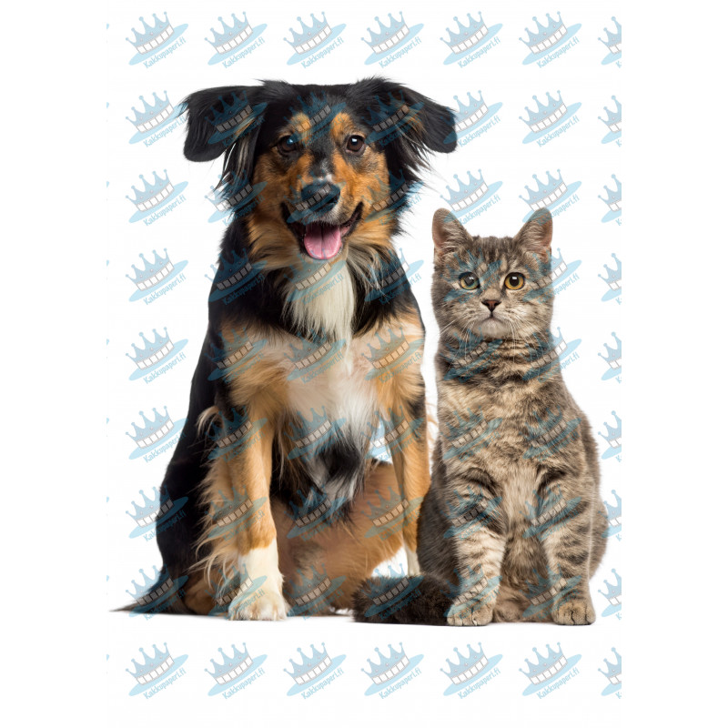 Pets Dog and Cat Posing - Edible cake topper