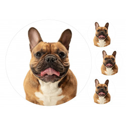 Dog Brown French Bulldog - Edible cake topper