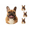 Dog Brown French Bulldog - Edible cake topper