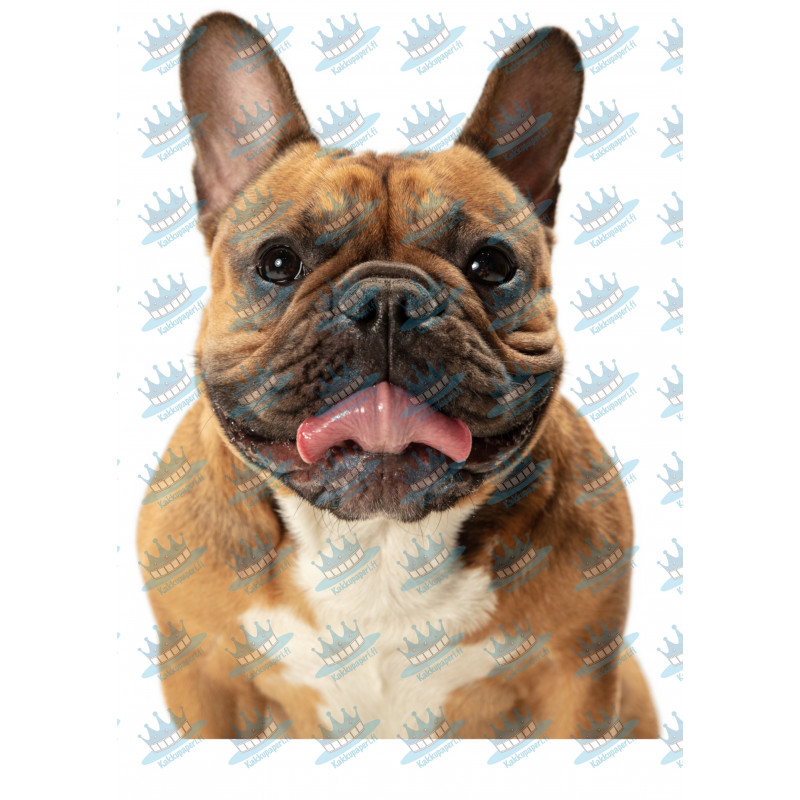 Dog Brown French Bulldog - Edible cake topper