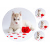 Dog Siberian Husky Puppy - Edible cake topper