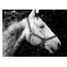 Horse Closeup Grayscaled - Edible cake topper