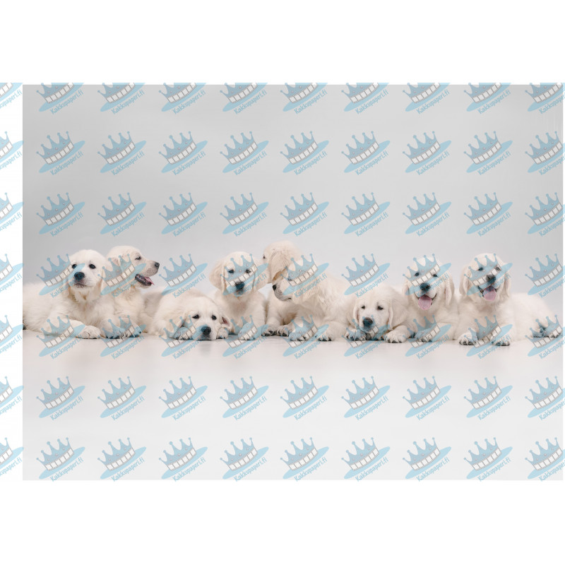 Dog Golden Retriever Puppies - Edible cake topper