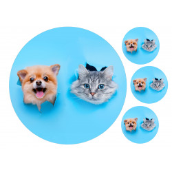 Pets Dog and Cat Through Wall - Edible cake topper