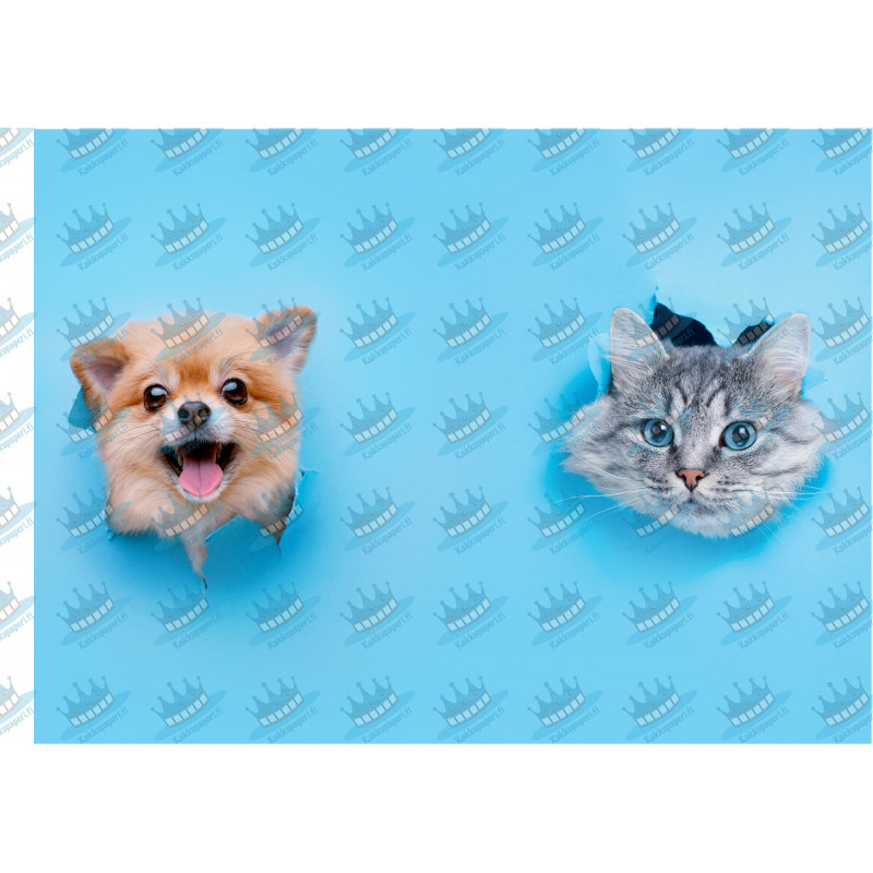 Pets Dog and Cat Through Wall - Edible cake topper