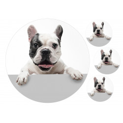 Dog Tuxedo French Bulldog - Edible cake topper