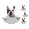 Dog Tuxedo French Bulldog - Edible cake topper