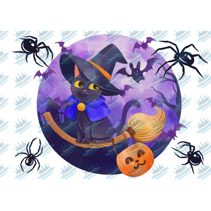 Halloween witch cat with spiders - Edible cake topper