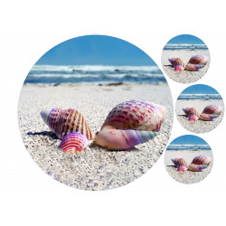 Seashells on the beach - edible cake topper