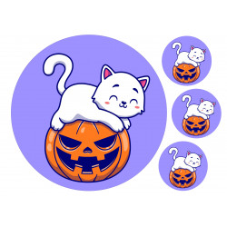 White Cat Laying On Pumpkin - Edible cake topper