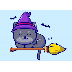 Cute Cat On Broom