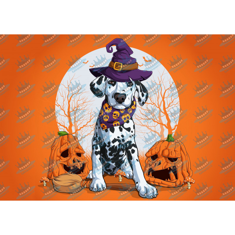 Halloween Dalmatien