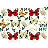 Edible cake decoration - Butterfly Collection 2 - cake decoration