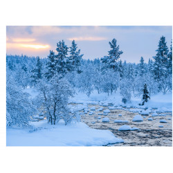 Winter landscape - edible cake topper