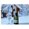 Champagne and glass in snow - edible cake topper